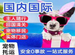 金湾机场空运国际宠物托运 【国